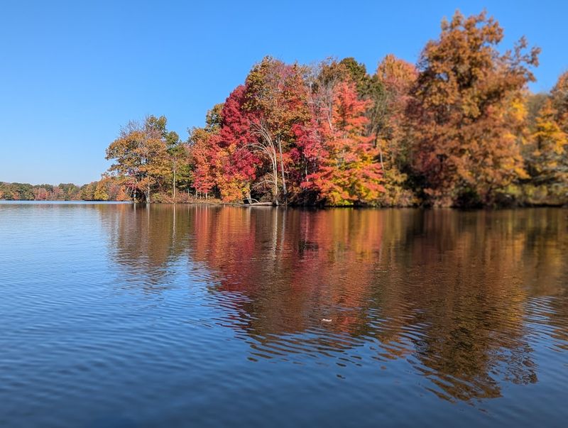 Lake Wilhelm Is the Heart of the Park