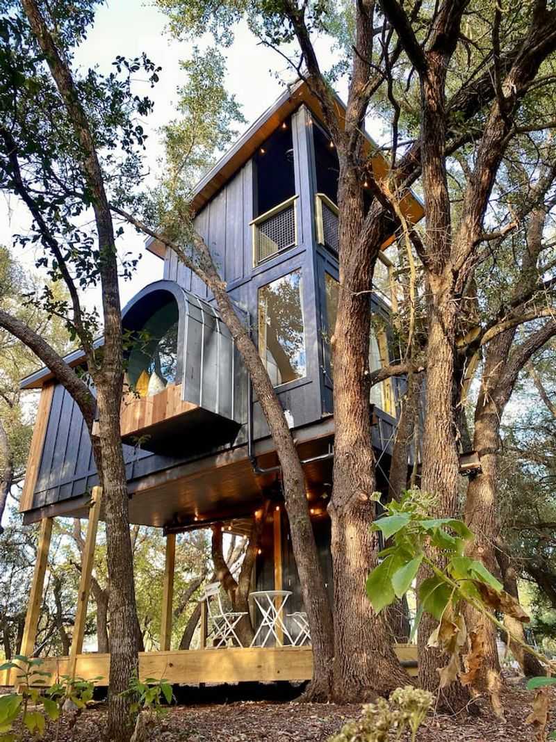 Leaf Treehouse at The Meadow (Fredericksburg) Leaf Treehouse at The Meadow (Fredericksburg)
