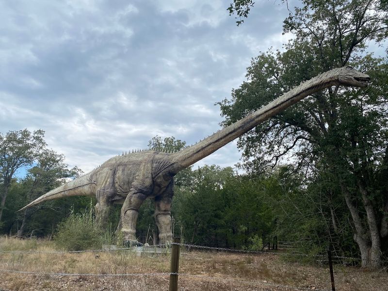 Life Size Dinosaur Trail Life Size Dinosaur Trail