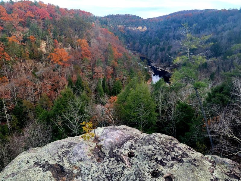 Lilly Bluff — Obed Wild & Scenic River Lilly Bluff — Obed Wild & Scenic River