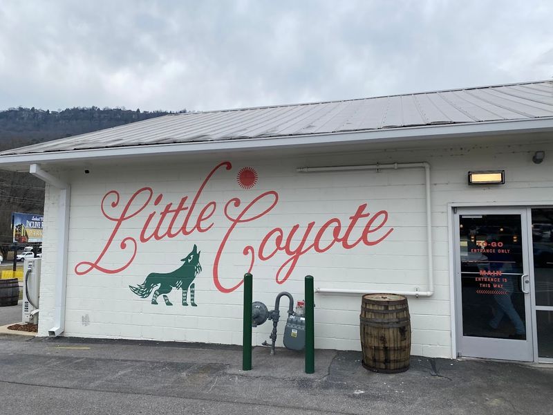 Little Coyote — Chattanooga