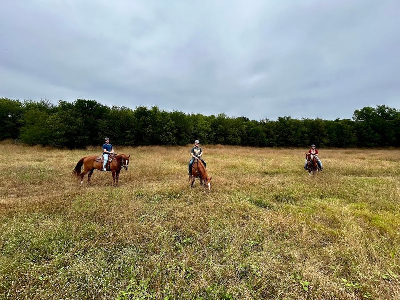 Lone Star Ranch (Austin) Lone Star Ranch (Austin)