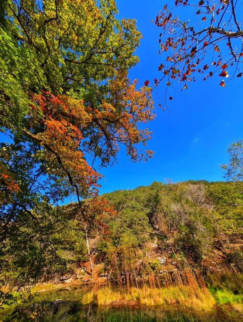 Lost Maples State Natural Area