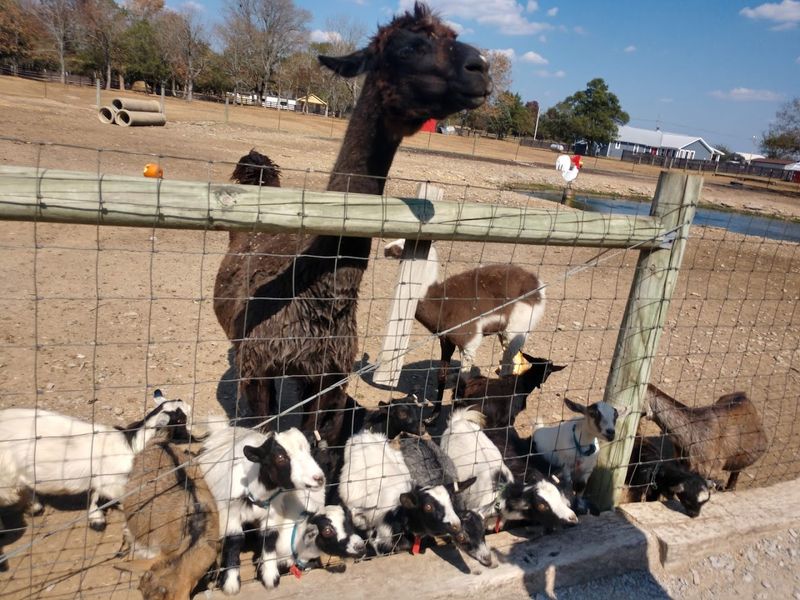 Lucky Ladd Farms — Eagleville Lucky Ladd Farms — Eagleville