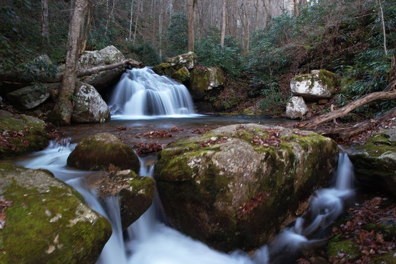 Make It A Greeneville Day Trip You'll Actually Remember