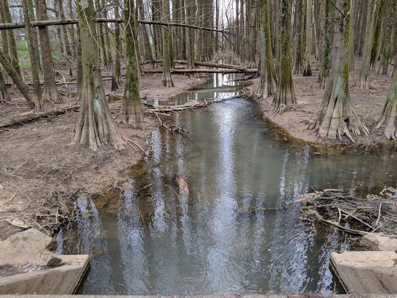 Make Time for the Nearby River Views, Scenic Drives, and Quiet Corners Around Town