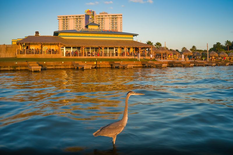 Margaritaville Lake Resort (Lake Conroe)