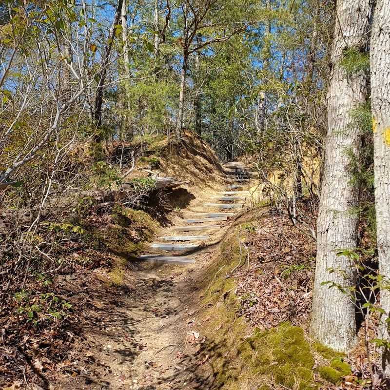 Maurice River Bluffs Preserve Trails Maurice River Bluffs Preserve Trails