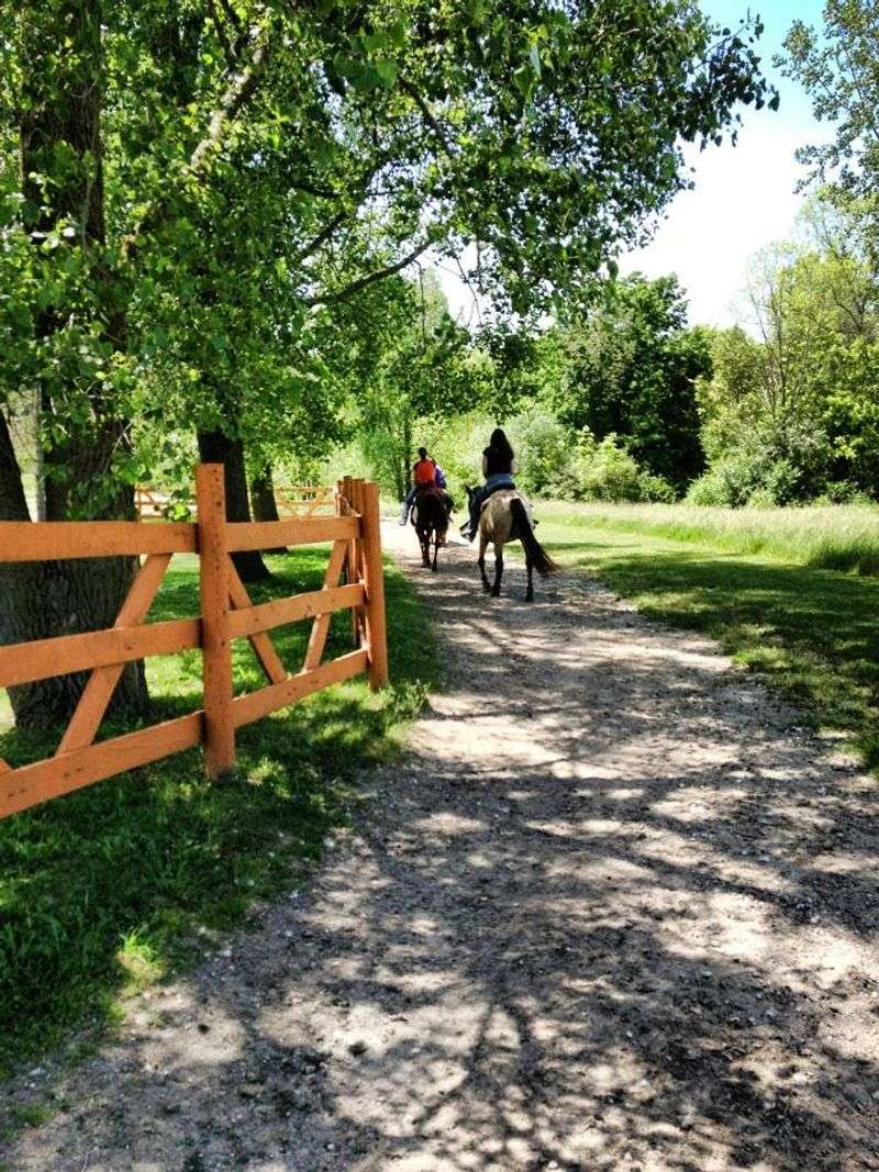Maybury Stables