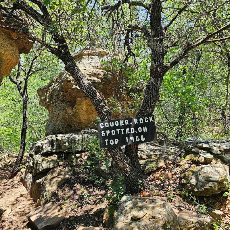 Medallion Hunt Adds Adventure Medallion Hunt Adds Adventure