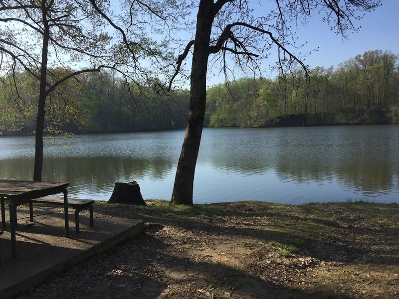 Meeman-Shelby Forest State Park — Millington