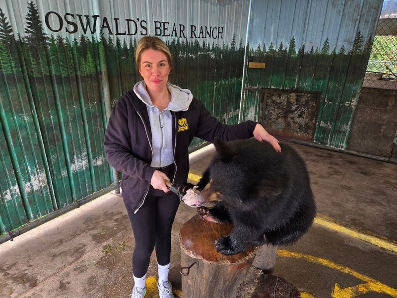 Meeting the Cubs — The Bear Cub Photo Experience Meeting the Cubs — The Bear Cub Photo Experience