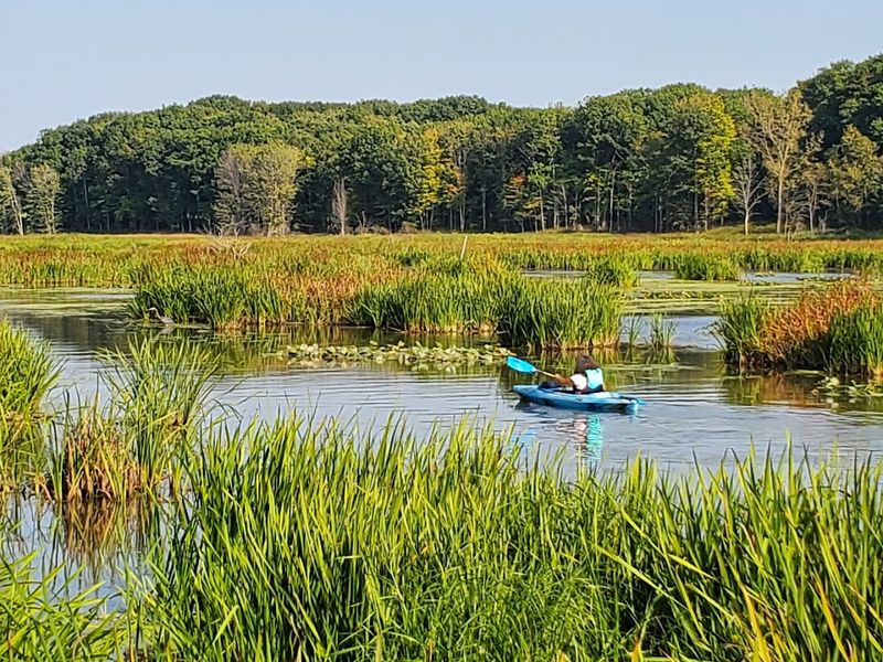 Mentor Lagoons Beach (Mentor, Lake)