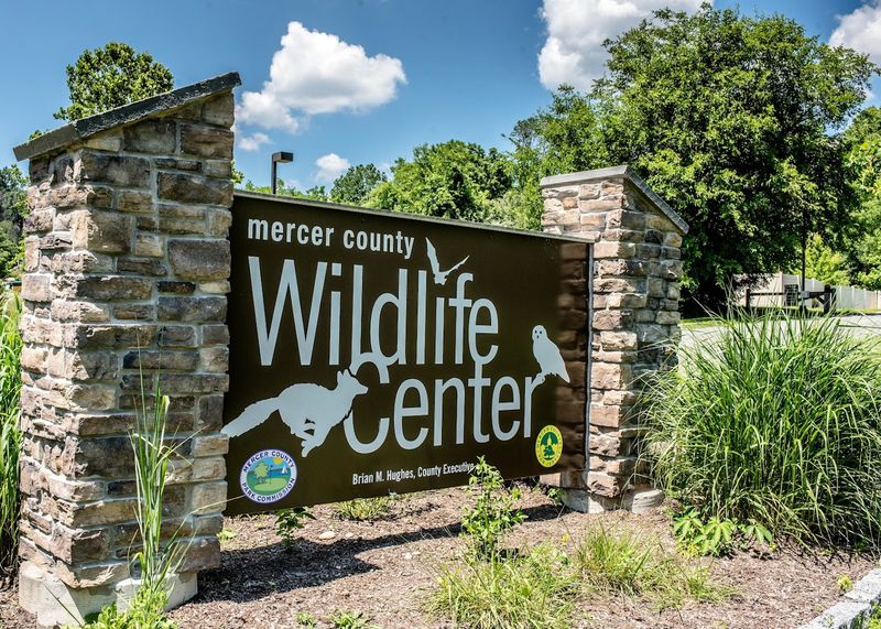 Mercer County Wildlife Center Mercer County Wildlife Center