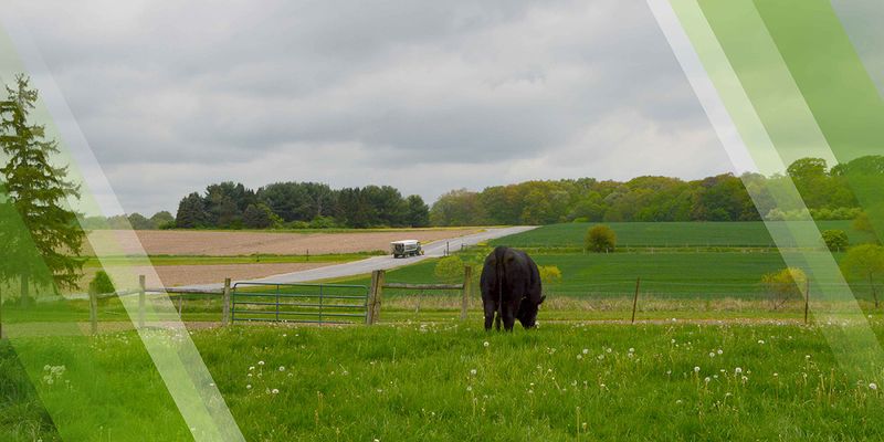 MetroParks Farm, Canfield MetroParks Farm, Canfield