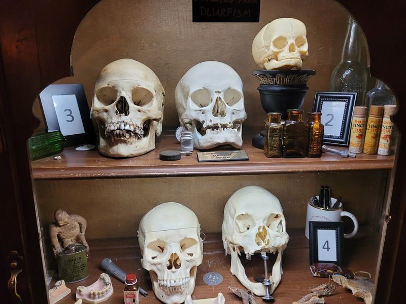 Michigan's Most Concentrated Collection of Medical History