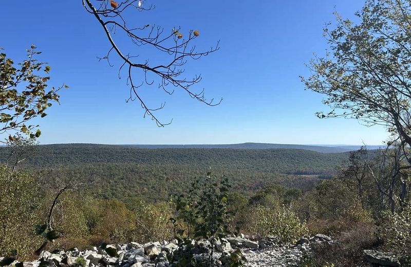 Mid State Trail (Sections) - Central PA Mid State Trail (Sections) - Central PA