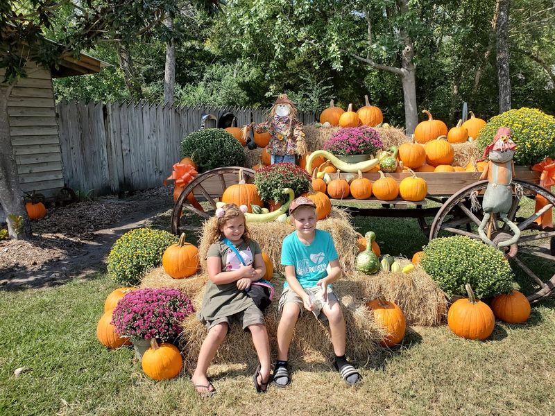 Mike’s Farm