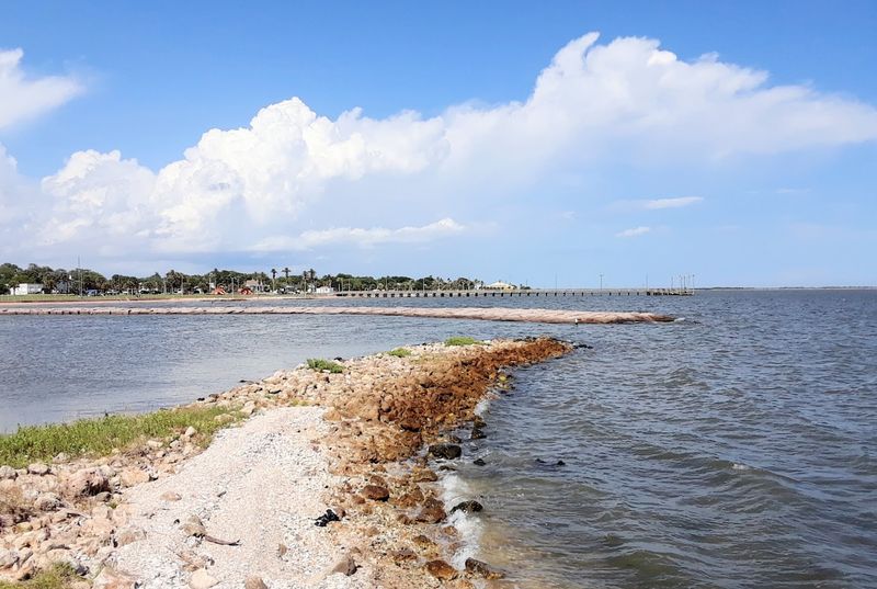 Miles of Unspoiled Shoreline Along Tres Palacios Bay