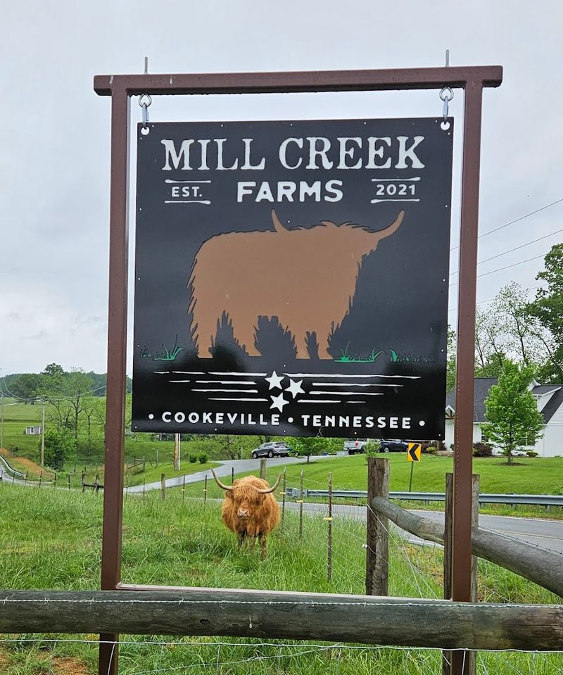 Mill Creek Farms — Cookeville Mill Creek Farms — Cookeville