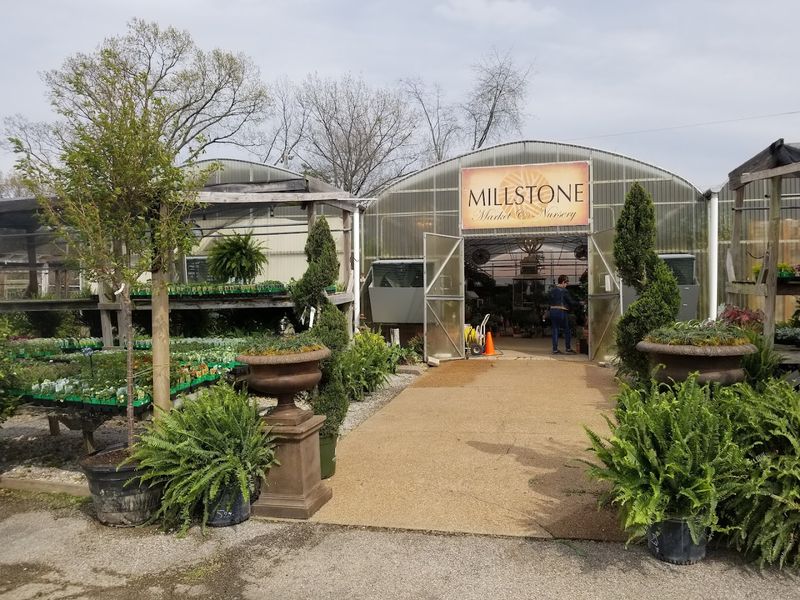 Millstone Market & Nursery — Germantown Millstone Market & Nursery — Germantown