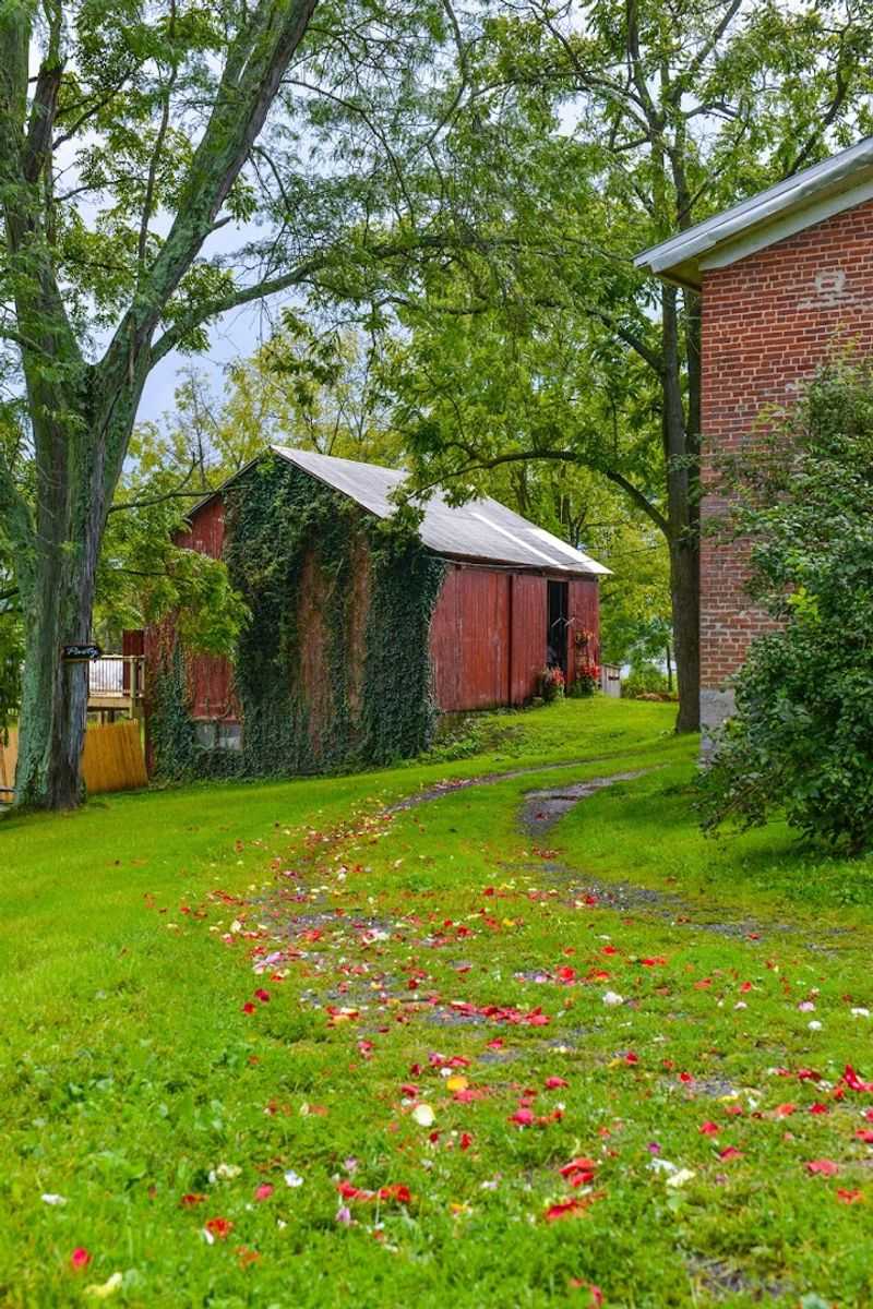 Miss Ruby’s Supper Club At The Hummingbird Room – Spring Mills
