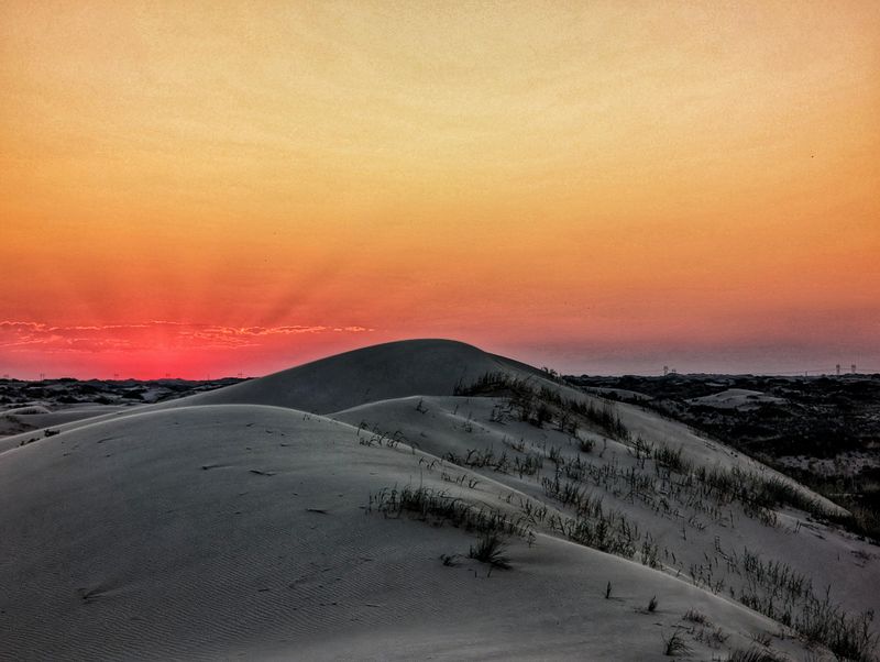 Monahans Sandhills State Park Monahans Sandhills State Park