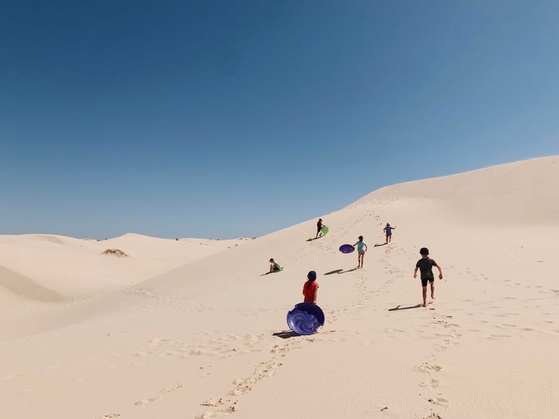 Monahans Sandhills State Park (Monahans)