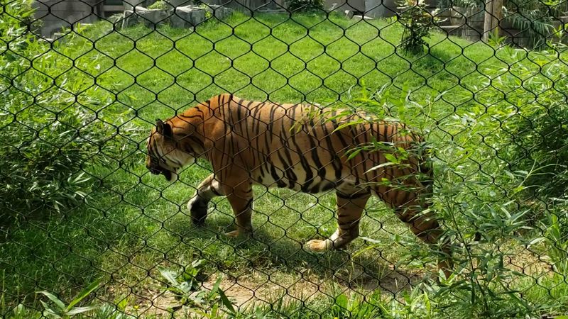 More Amazing Animals and Experiences Waiting Nearby More Amazing Animals and Experiences Waiting Nearby