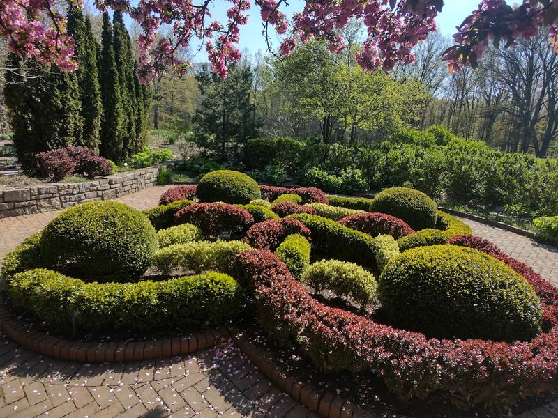 More Than 2,000 Plant Species Create Constant Seasonal Change More Than 2,000 Plant Species Create Constant Seasonal Change