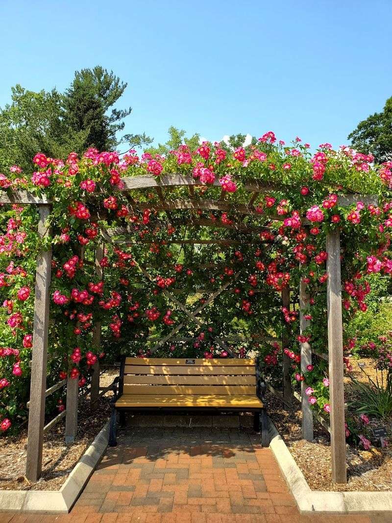 More Than 3,000 Roses Make This Somerset Spot Feel Like a Fairytale More Than 3,000 Roses Make This Somerset Spot Feel Like a Fairytale