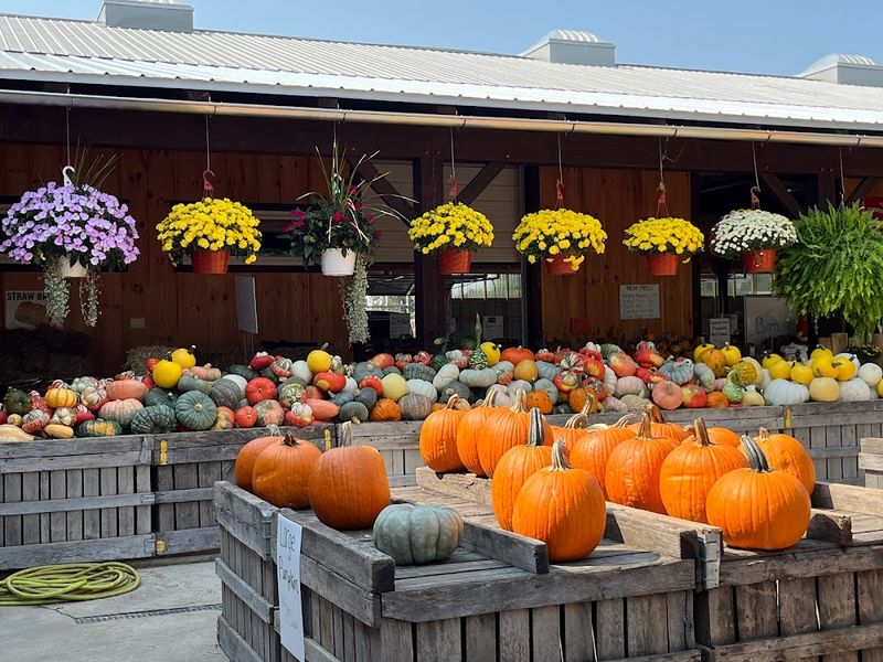 Moreland Fruit Farm & Farm Market, Wooster Moreland Fruit Farm & Farm Market, Wooster