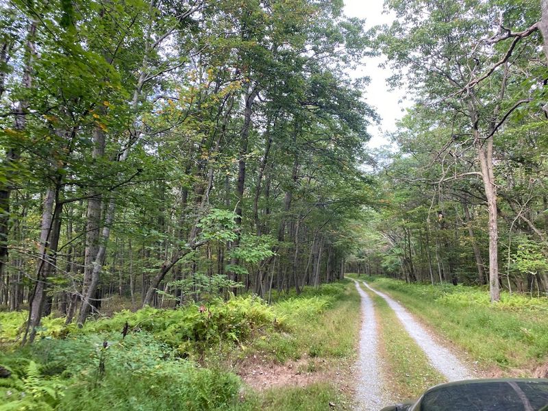 Mountain Biking, Gravel Roads, and Adventure Mountain Biking, Gravel Roads, and Adventure