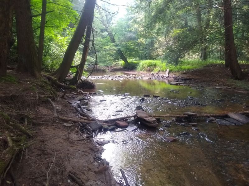 Mountain Streams That Steal The Show Mountain Streams That Steal The Show