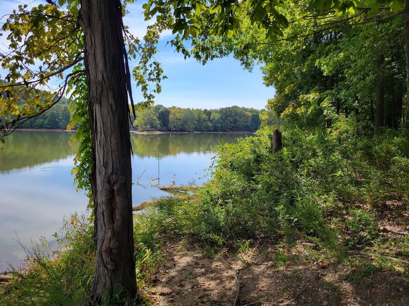 Mousetail Landing State Park — Linden