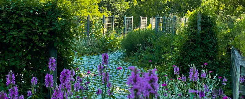 Mt. Airy Arboretum, Cincinnati