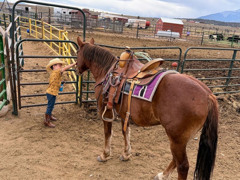 Mt. Princeton Riding Stables – Nathrop
