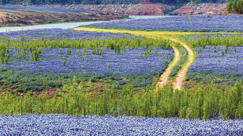 Muleshoe Bend Recreation Area
