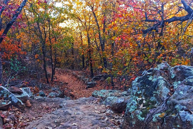 Multiple Trail Options for Every Skill Level Multiple Trail Options for Every Skill Level