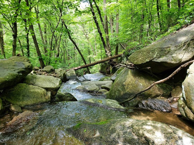 Musconetcong Gorge Preserve Trail Musconetcong Gorge Preserve Trail