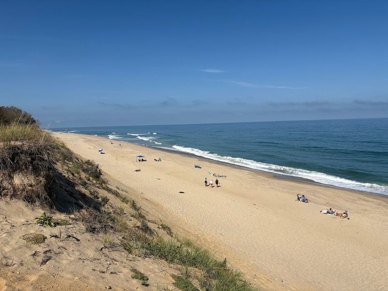 Why This Wellfleet Shoreline Quietly Outclasses Flashier Cape Stops Why This Wellfleet Shoreline Quietly Outclasses Flashier Cape Stops