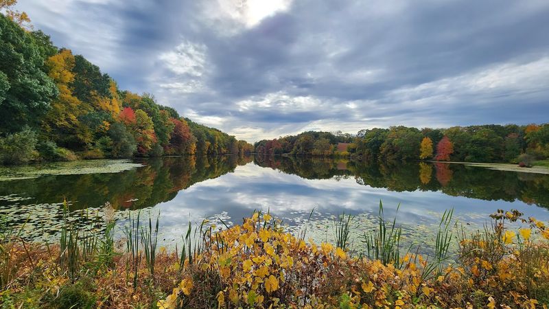 Rockefeller Preserve - Swan Lake Area (Pleasantville)
