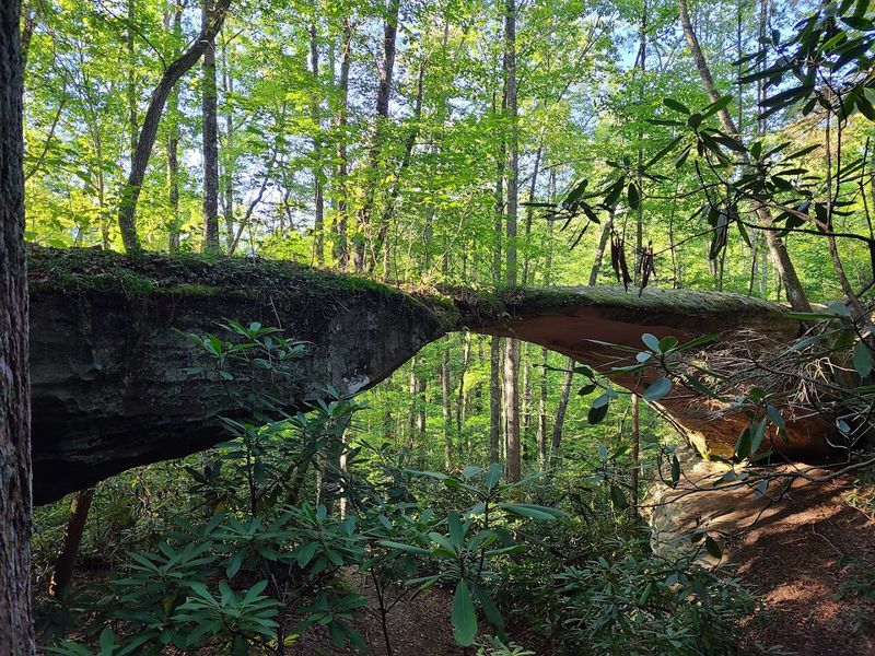 Natural Bridge — Pickett CCC Memorial State Park Natural Bridge — Pickett CCC Memorial State Park