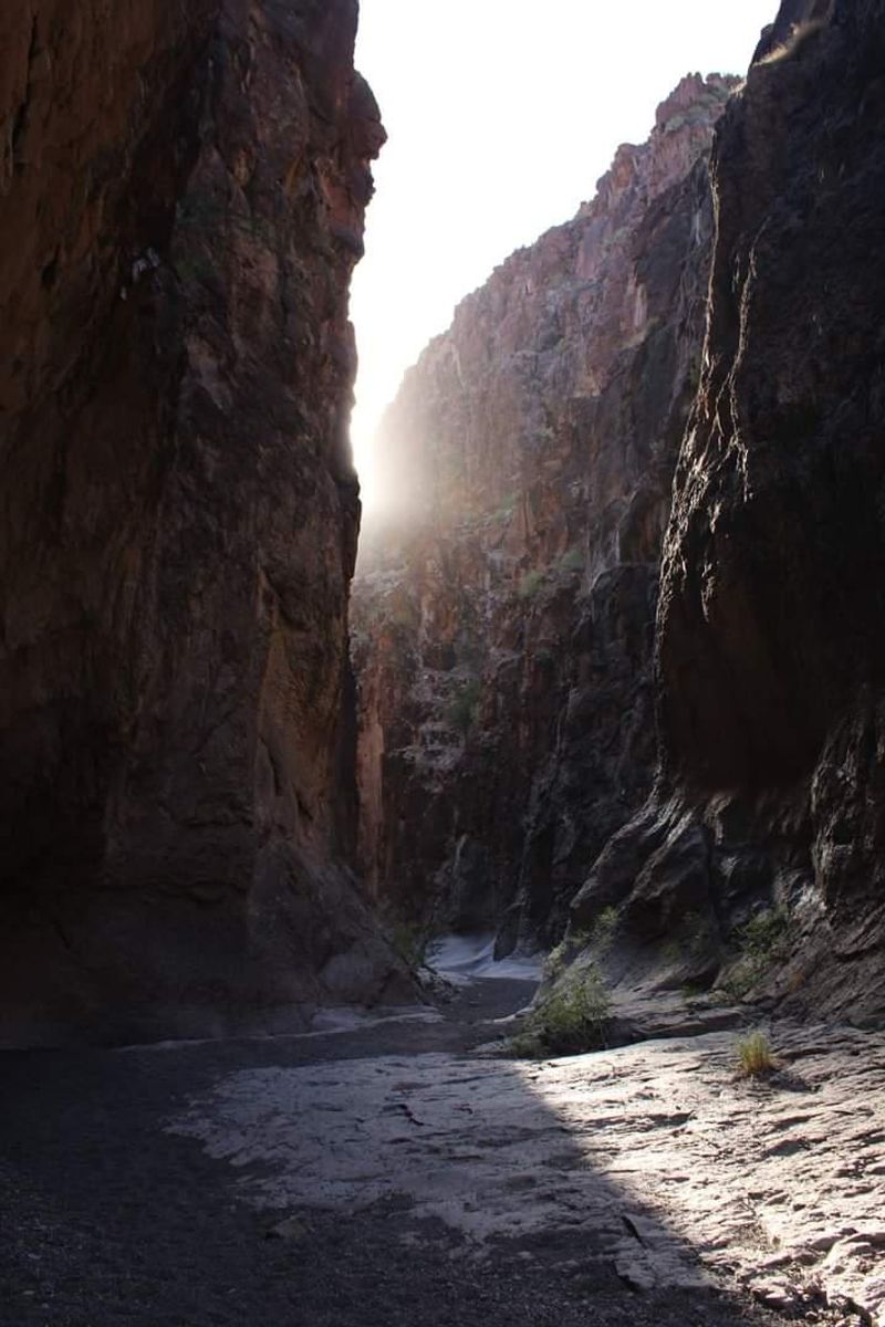 Natural Shade That Beats the Desert Heat