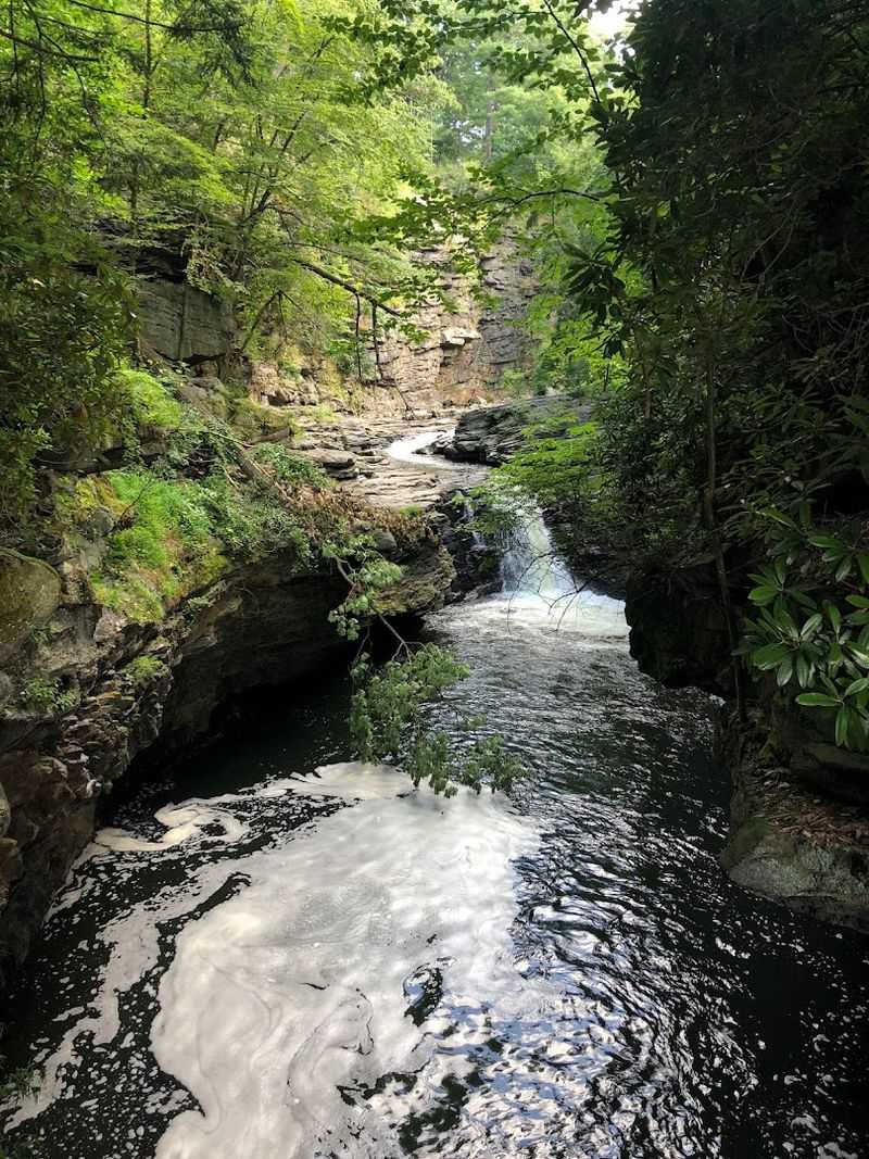 Nay Aug Gorge - Scranton Nay Aug Gorge - Scranton