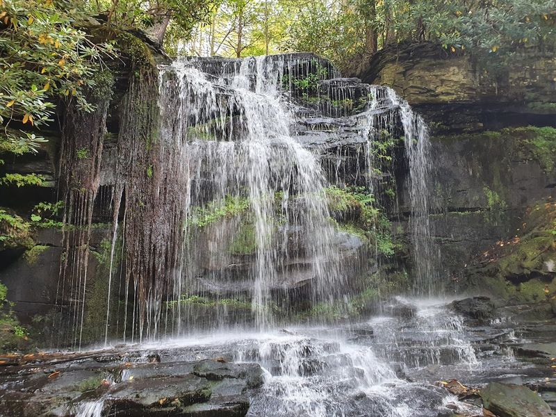 Neversink Neversink