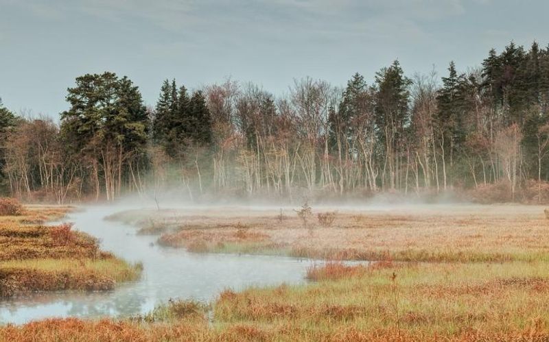 New Jersey Pinelands / Pine Barrens