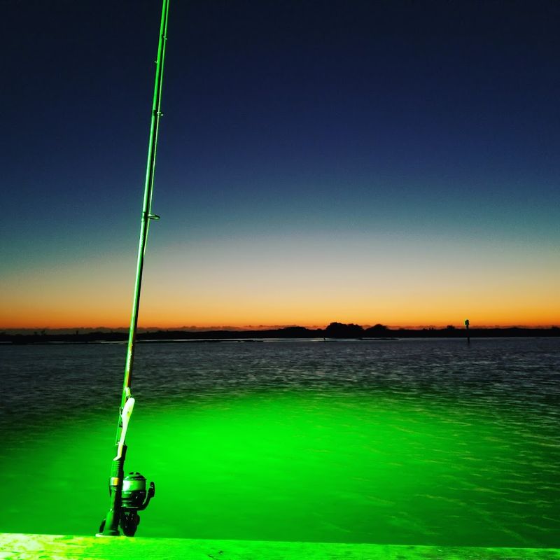 Night Fishing Under the Lights Creates Magic Night Fishing Under the Lights Creates Magic