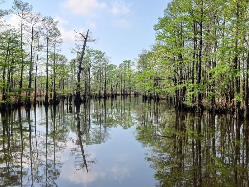 Nine Ecosystems Crammed Into One Preserve