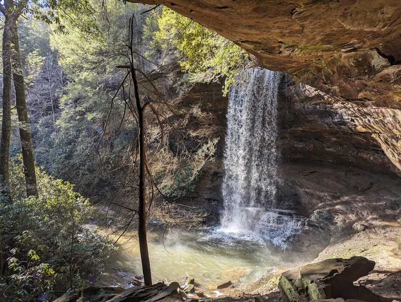 Northrup Falls: The 60-Foot Showstopper Tucked Inside the Cove